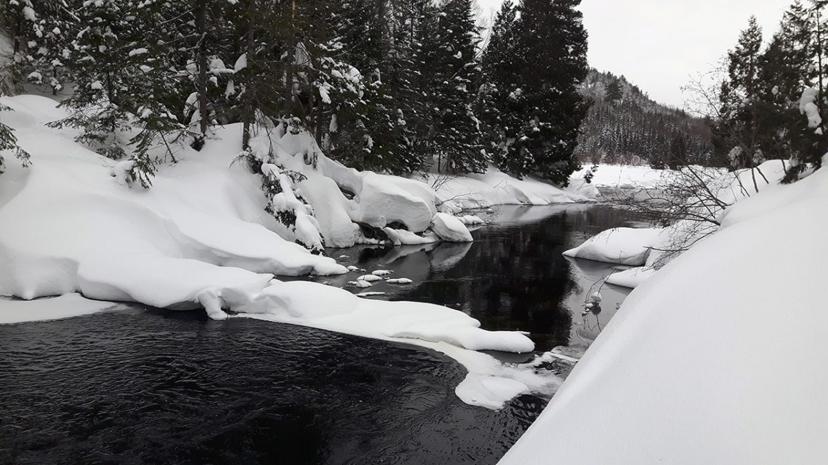 Raid Motoneige - Plaisirs d'Hiver